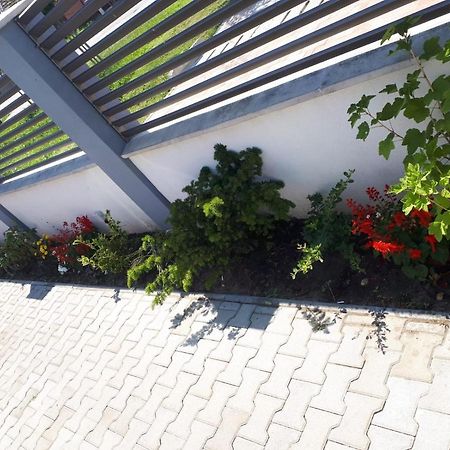 Apartament Saguna Sînnicolau Mare Екстериор снимка
