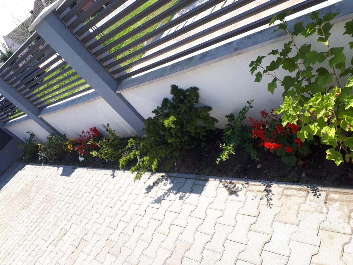 Apartament Saguna Sînnicolau Mare Екстериор снимка